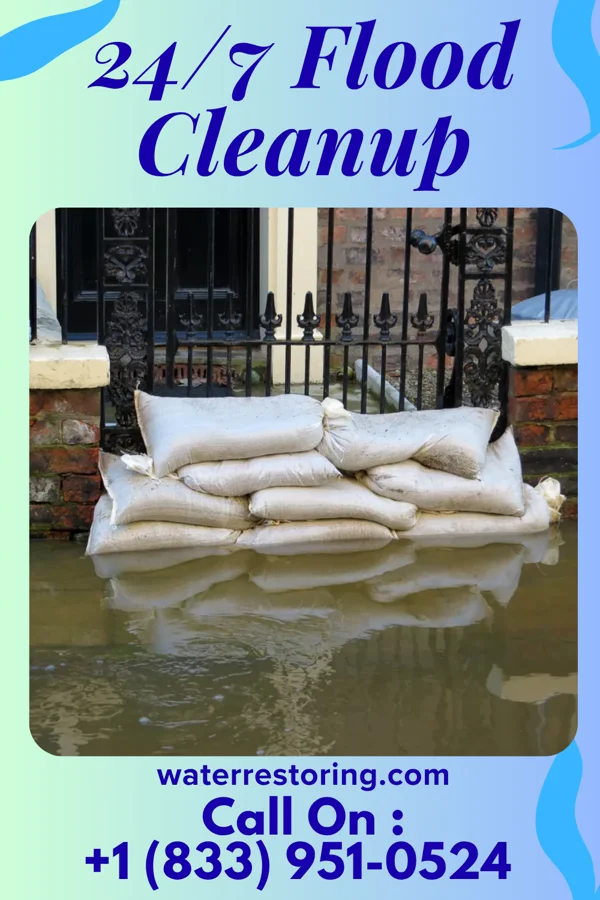 24/7 Flood Cleanup in Mendenhall, MS