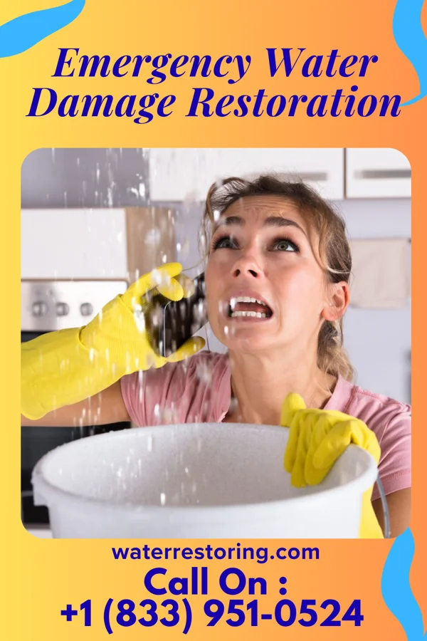 Emergency Water Damage Restoration in Mendenhall, MS
