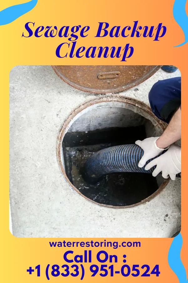 Sewage Backup Cleanup in Mendenhall, MS